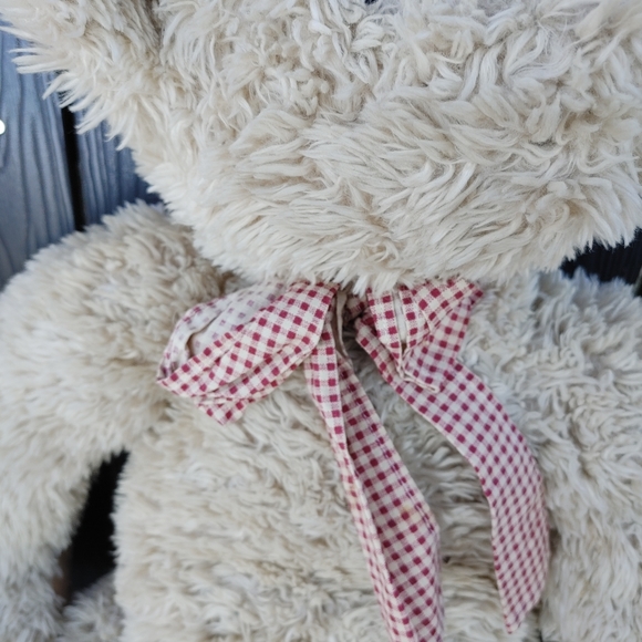 Boyd bear - Picture 5 of 5